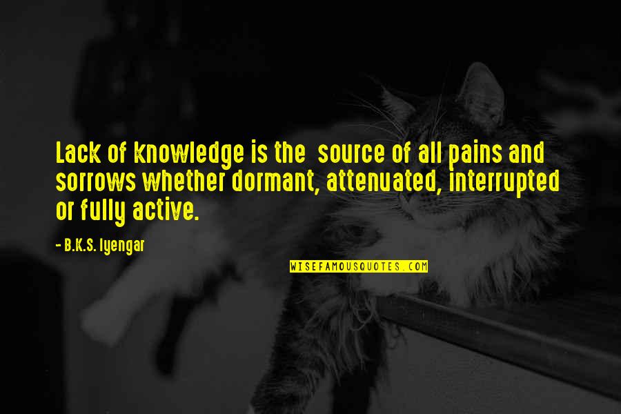 Diverse Leadership Quotes By B.K.S. Iyengar: Lack of knowledge is the source of all