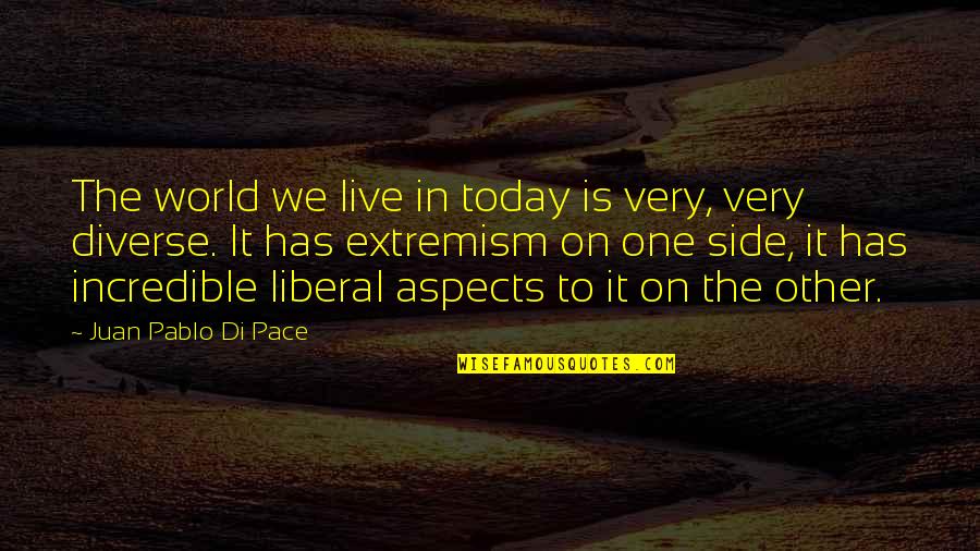 Diverse Quotes By Juan Pablo Di Pace: The world we live in today is very,