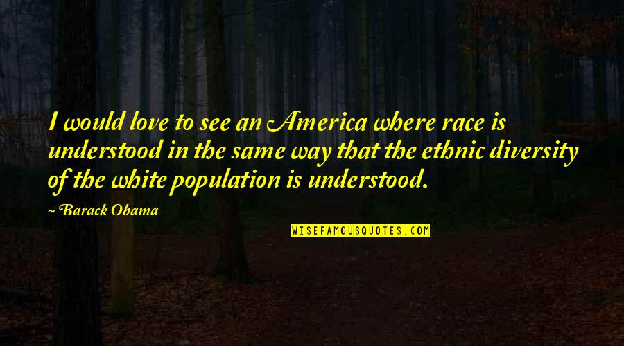 Diversity And Love Quotes By Barack Obama: I would love to see an America where