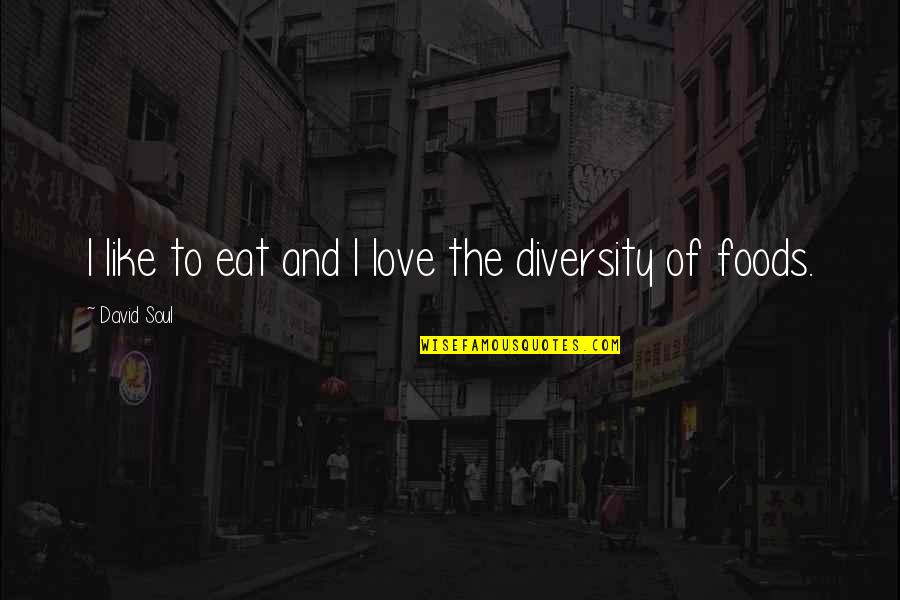 Diversity And Love Quotes By David Soul: I like to eat and I love the