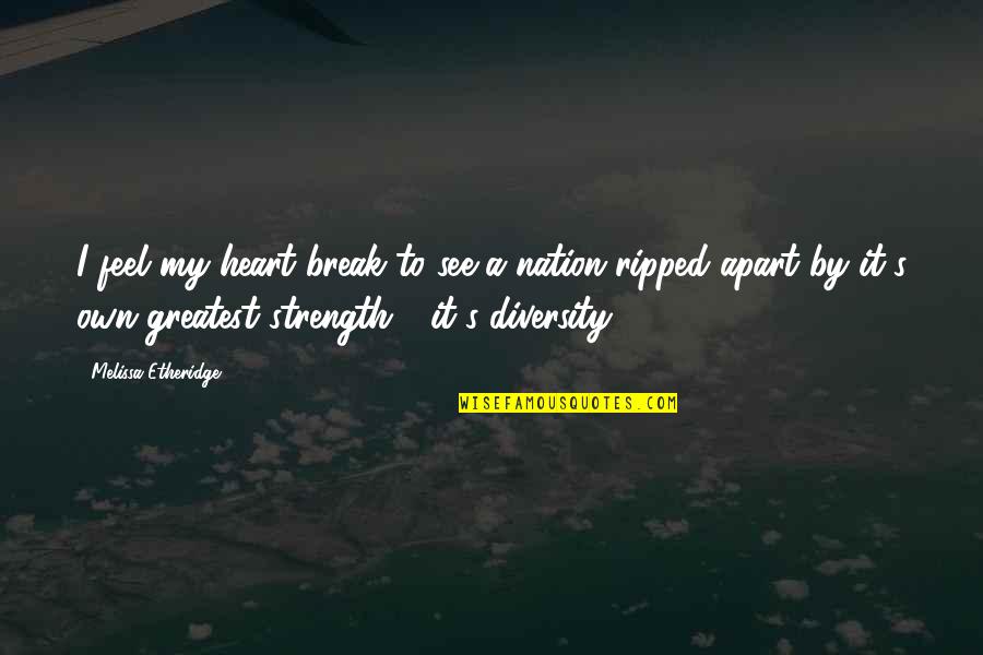 Diversity And Strength Quotes By Melissa Etheridge: I feel my heart break to see a