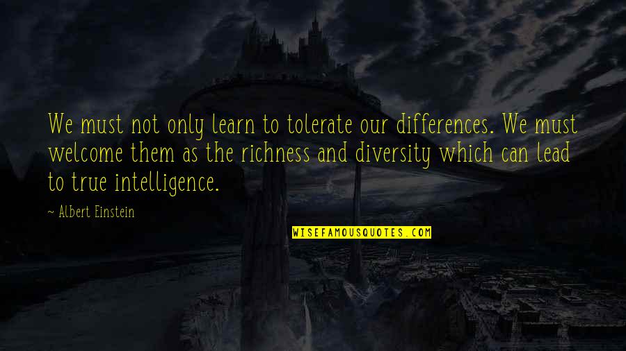 Diversity In The Us Quotes By Albert Einstein: We must not only learn to tolerate our