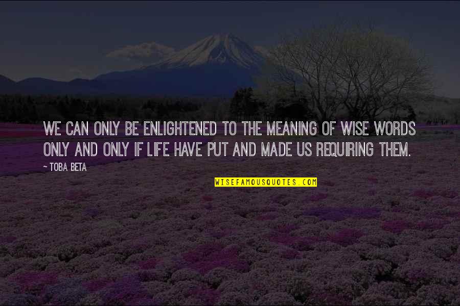 Diverting Quotes By Toba Beta: We can only be enlightened to the meaning