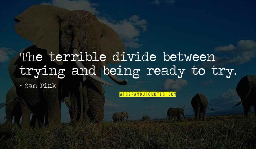 Divide Quotes By Sam Pink: The terrible divide between trying and being ready