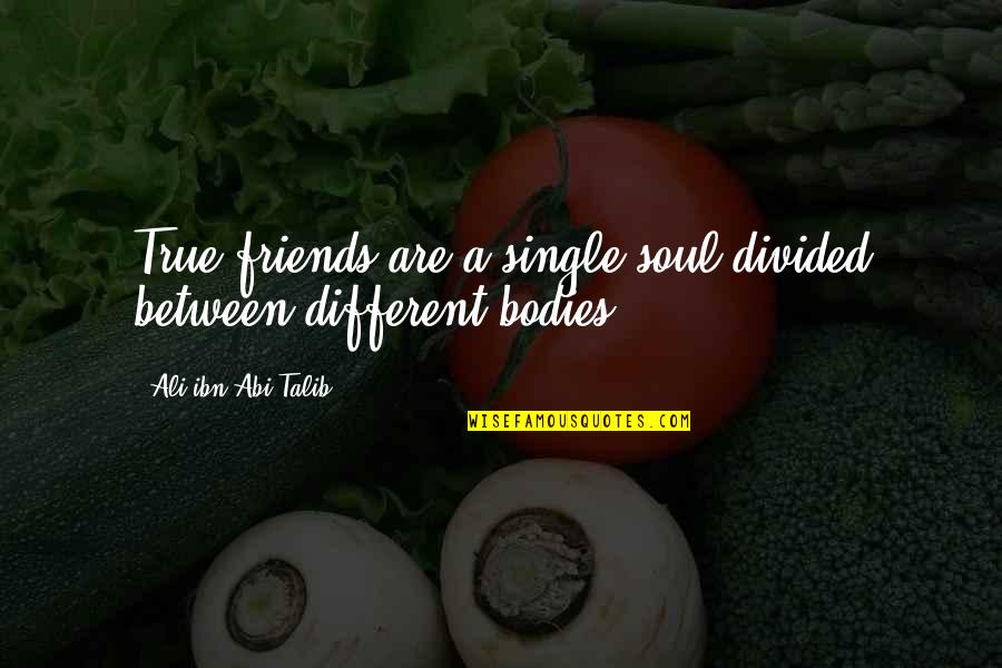 Divided Soul Quotes By Ali Ibn Abi Talib: True friends are a single soul divided between