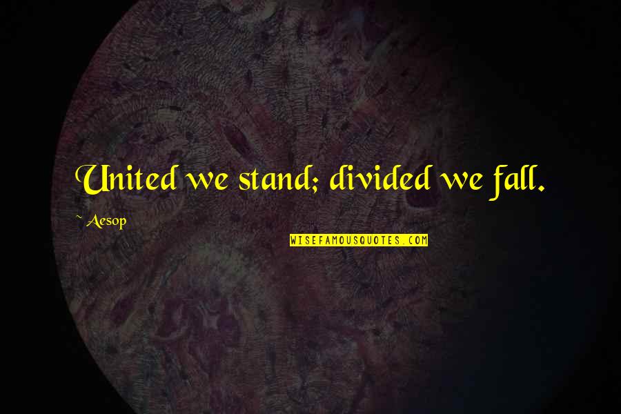 Divided We Fall Quotes By Aesop: United we stand; divided we fall.