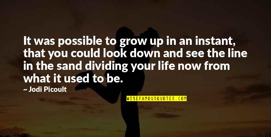 Dividing Line Quotes By Jodi Picoult: It was possible to grow up in an
