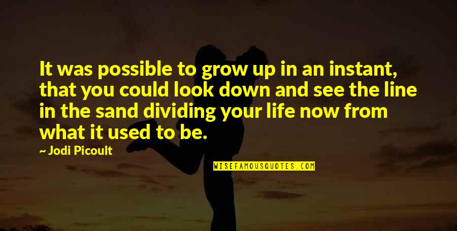 Dividing Quotes By Jodi Picoult: It was possible to grow up in an