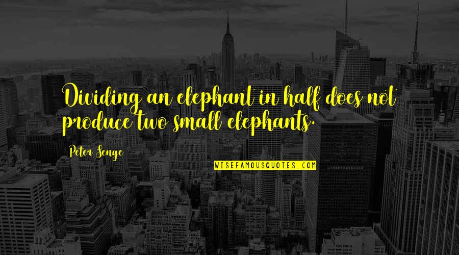 Dividing Quotes By Peter Senge: Dividing an elephant in half does not produce