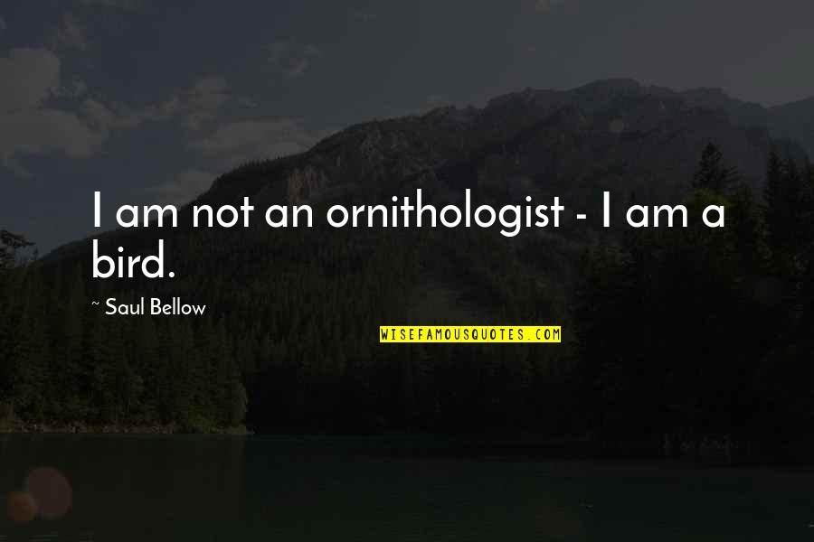 Dividir Un Quotes By Saul Bellow: I am not an ornithologist - I am
