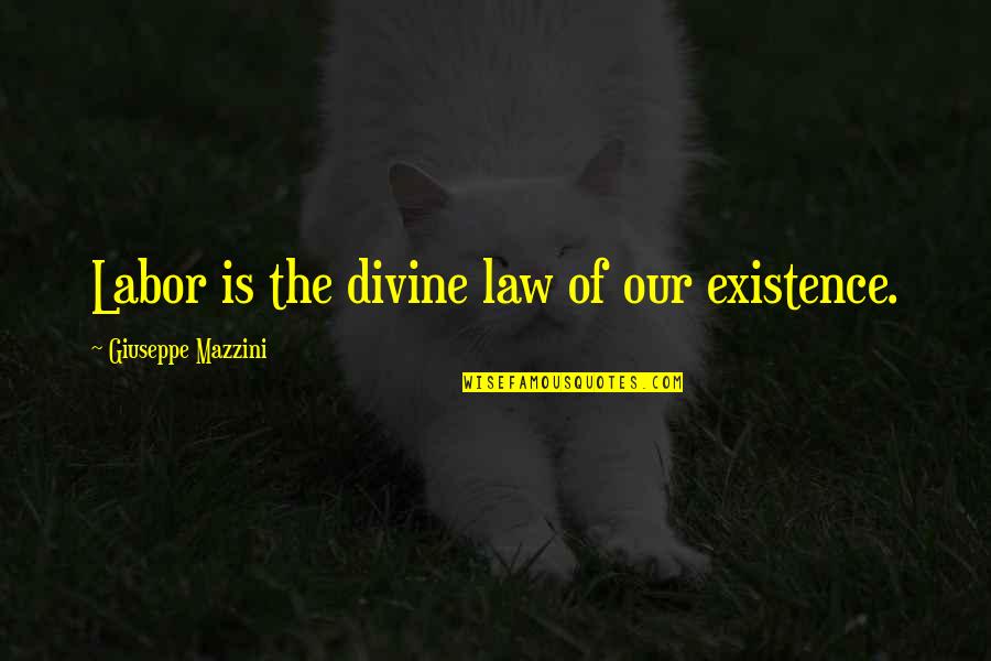 Divine Law Quotes By Giuseppe Mazzini: Labor is the divine law of our existence.