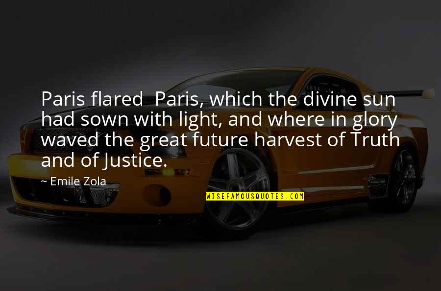 Divine Light Quotes By Emile Zola: Paris flared Paris, which the divine sun had