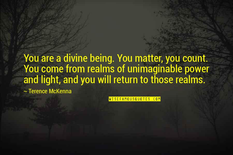 Divine Light Quotes By Terence McKenna: You are a divine being. You matter, you