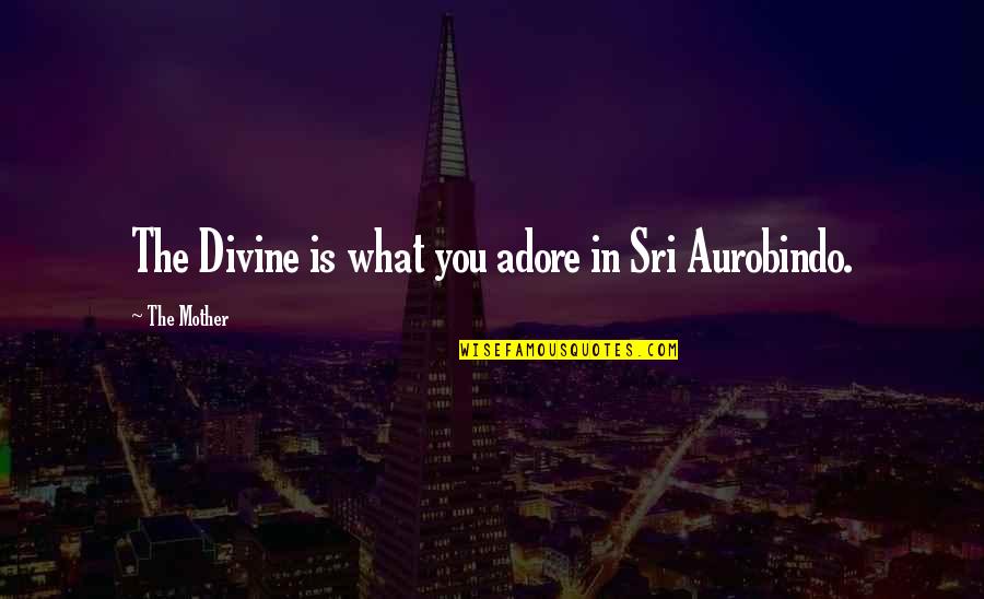 Divine Mother Quotes By The Mother: The Divine is what you adore in Sri