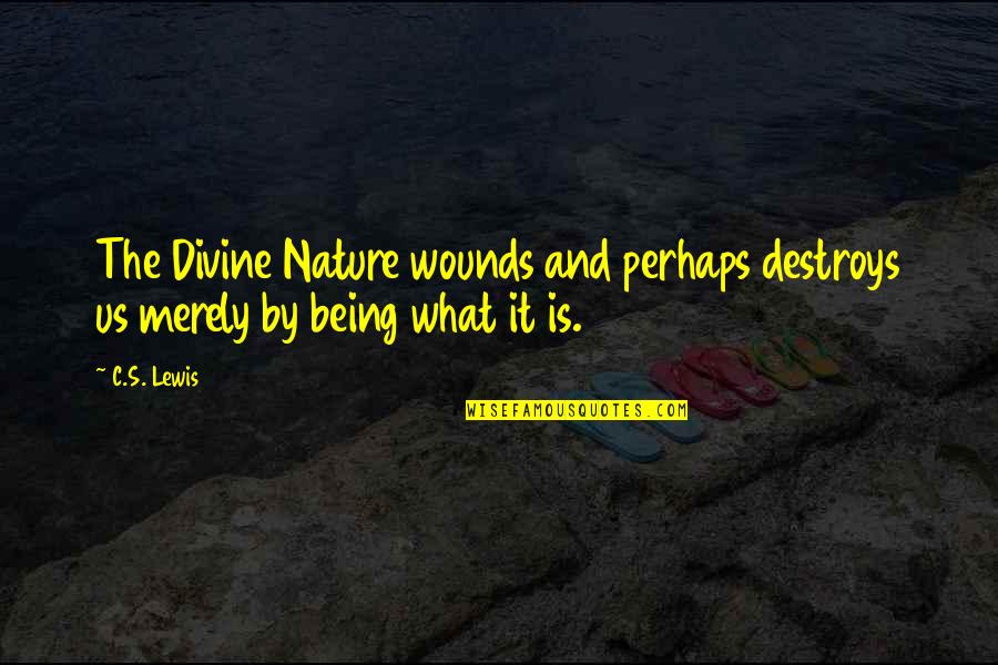 Divine Nature Quotes By C.S. Lewis: The Divine Nature wounds and perhaps destroys us