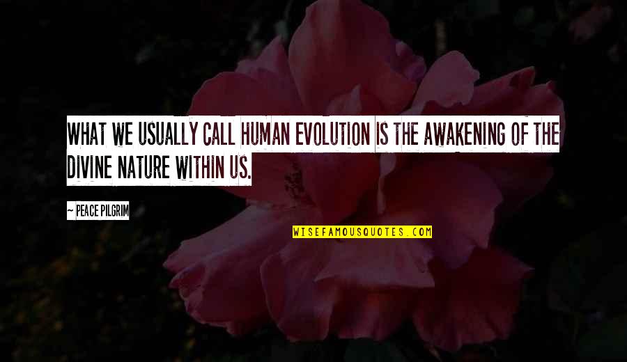 Divine Nature Quotes By Peace Pilgrim: What we usually call human evolution is the