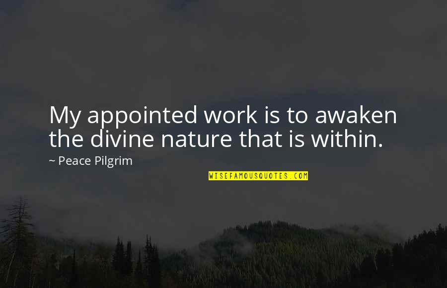 Divine Nature Quotes By Peace Pilgrim: My appointed work is to awaken the divine