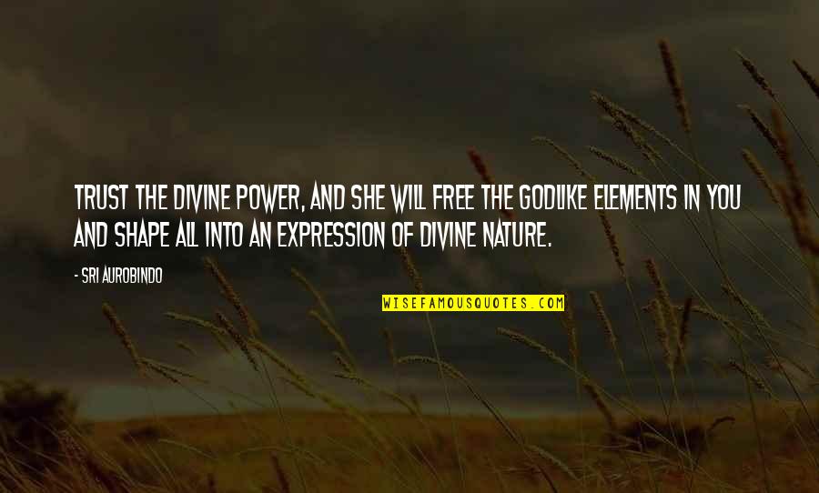 Divine Nature Quotes By Sri Aurobindo: Trust the divine power, and she will free
