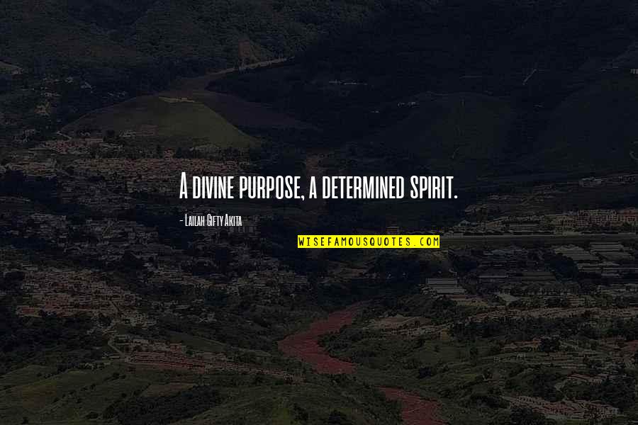 Divine Purpose Quotes By Lailah Gifty Akita: A divine purpose, a determined spirit.