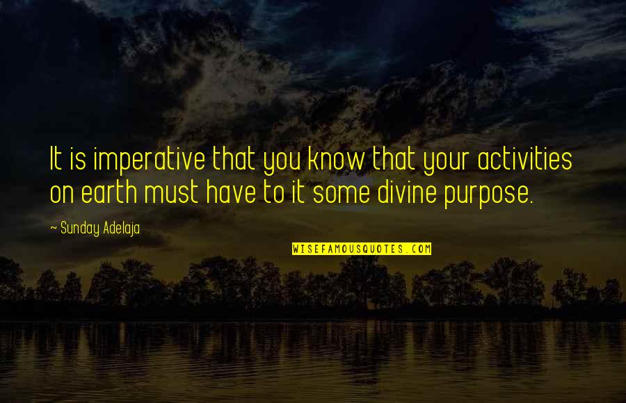 Divine Purpose Quotes By Sunday Adelaja: It is imperative that you know that your