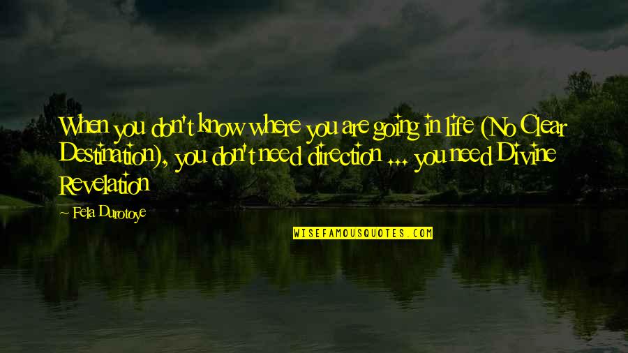 Divine Revelation Quotes By Fela Durotoye: When you don't know where you are going Divine Revelation Quotes By Fela Durotoye: When you don't know where you are going