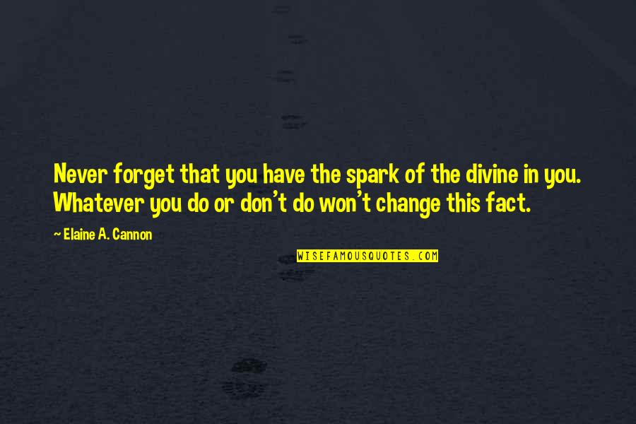 Divine Spark Quotes By Elaine A. Cannon: Never forget that you have the spark of