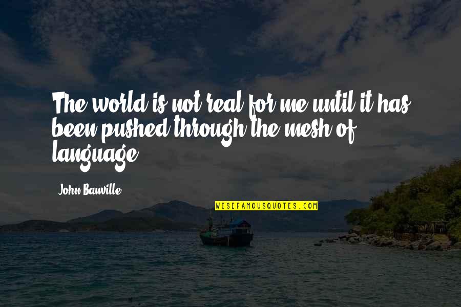 Divinedieu Quotes By John Banville: The world is not real for me until