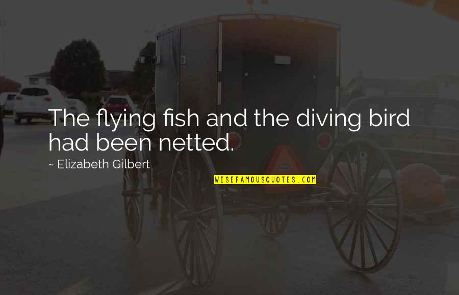Diving Quotes By Elizabeth Gilbert: The flying fish and the diving bird had