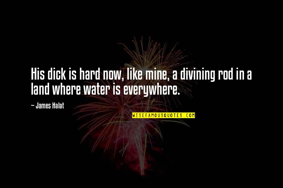 Divining Water Quotes By James Halat: His dick is hard now, like mine, a