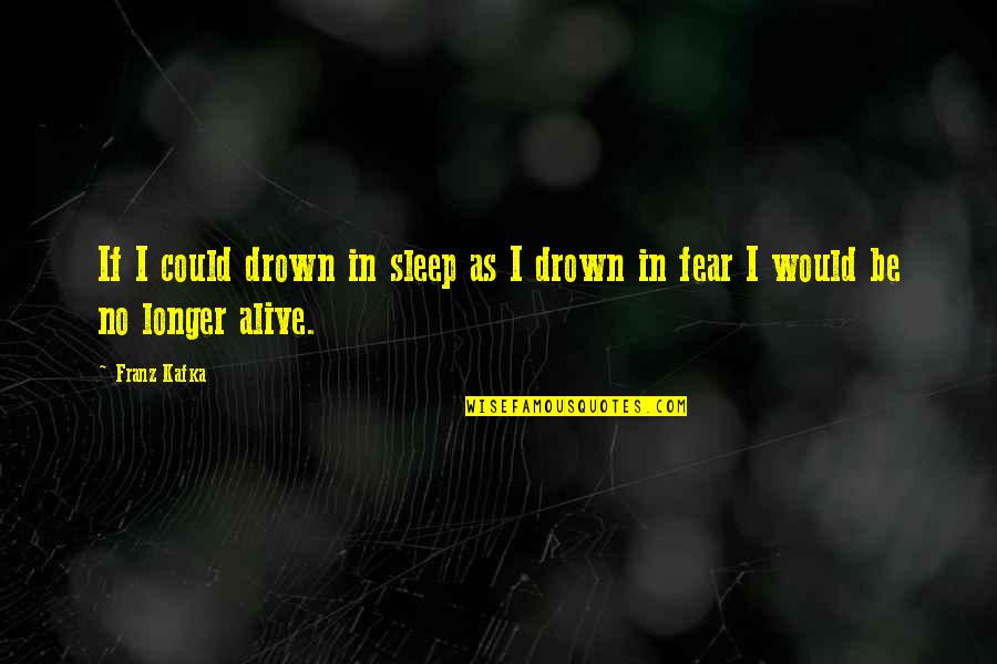 Divinitatea Musulmanilor Quotes By Franz Kafka: If I could drown in sleep as I
