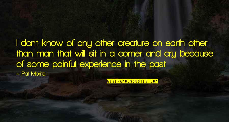 Divinorum Psychonauticus Quotes By Pat Morita: I don't know of any other creature on