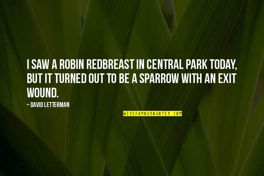 Divirgilio Insurance Quotes By David Letterman: I saw a robin redbreast in Central Park Divirgilio Insurance Quotes By David Letterman: I saw a robin redbreast in Central Park