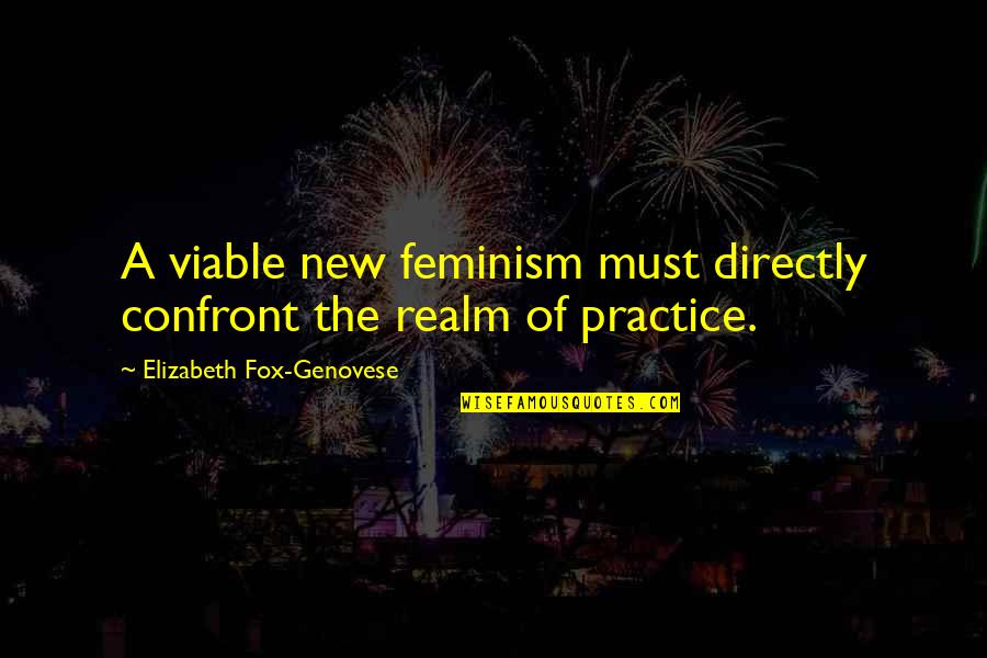 Divisiones De Fracciones Quotes By Elizabeth Fox-Genovese: A viable new feminism must directly confront the