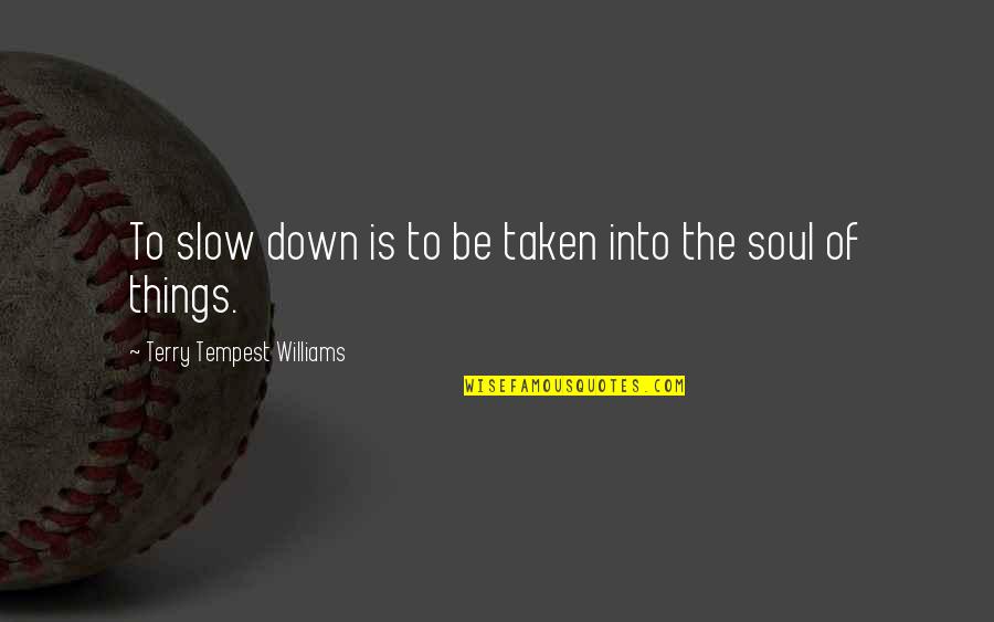 Divisoria Quotes By Terry Tempest Williams: To slow down is to be taken into