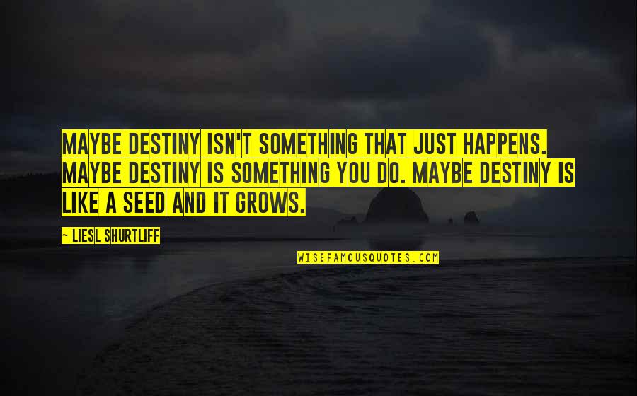 Divjake Quotes By Liesl Shurtliff: Maybe destiny isn't something that just happens. Maybe