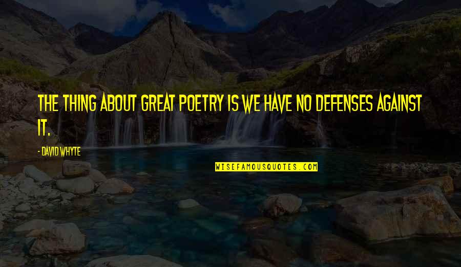 Divlja Mrkva Quotes By David Whyte: The thing about great poetry is we have