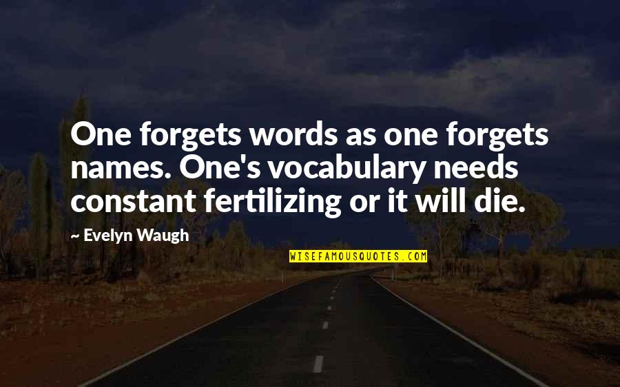 Divo Quotes By Evelyn Waugh: One forgets words as one forgets names. One's