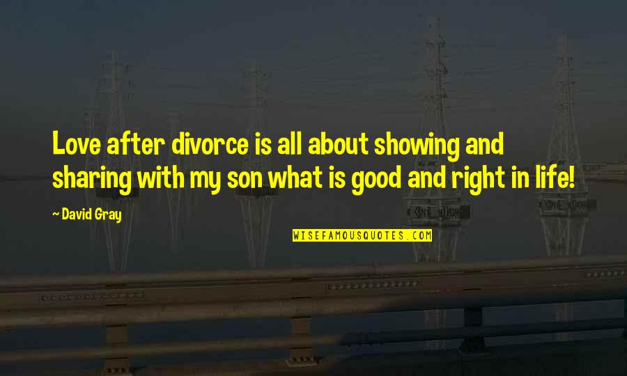 Divorce And Love Quotes By David Gray: Love after divorce is all about showing and