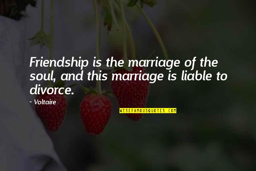 Divorce And Marriage Quotes By Voltaire: Friendship is the marriage of the soul, and