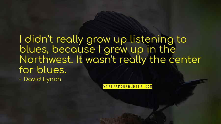 Divorced Dads Quotes By David Lynch: I didn't really grow up listening to blues,