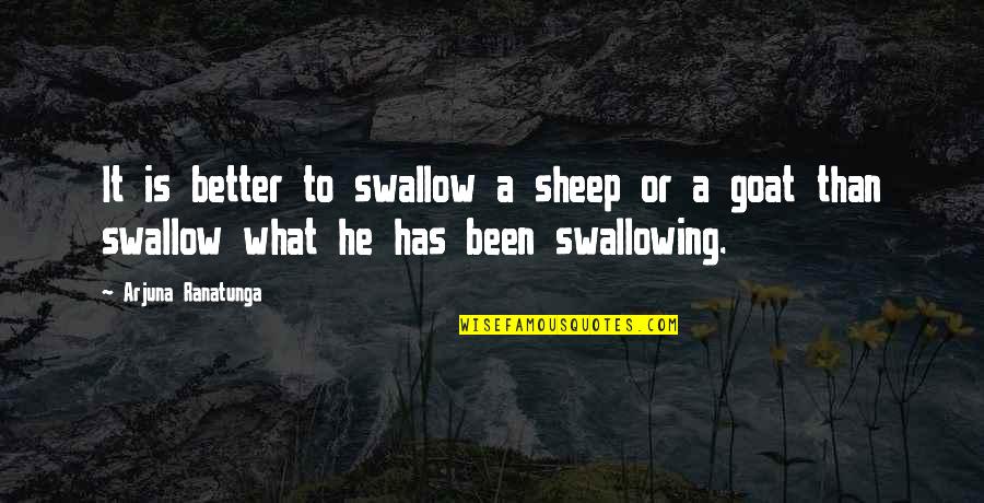 Divorciada Quotes By Arjuna Ranatunga: It is better to swallow a sheep or Divorciada Quotes By Arjuna Ranatunga: It is better to swallow a sheep or