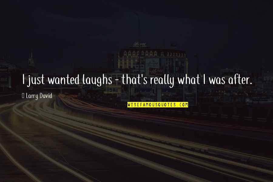 Divorcio Julio Quotes By Larry David: I just wanted laughs - that's really what