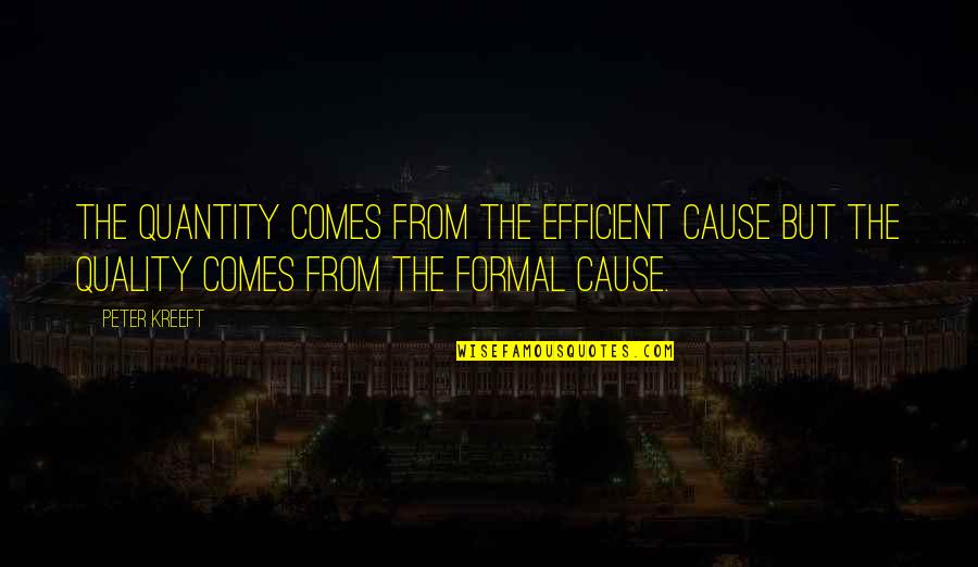 Diwali Invitation Quotes By Peter Kreeft: The quantity comes from the efficient cause but