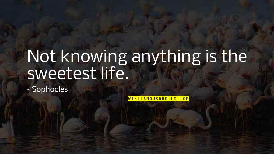 Diwali Safai Quotes By Sophocles: Not knowing anything is the sweetest life.
