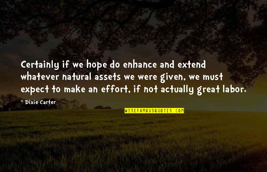 Dixie Quotes By Dixie Carter: Certainly if we hope do enhance and extend