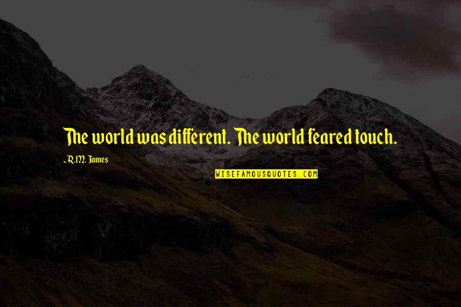 Dixieland Quotes By R.M. James: The world was different. The world feared touch.