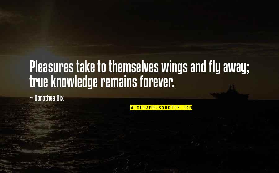 Dix's Quotes By Dorothea Dix: Pleasures take to themselves wings and fly away;