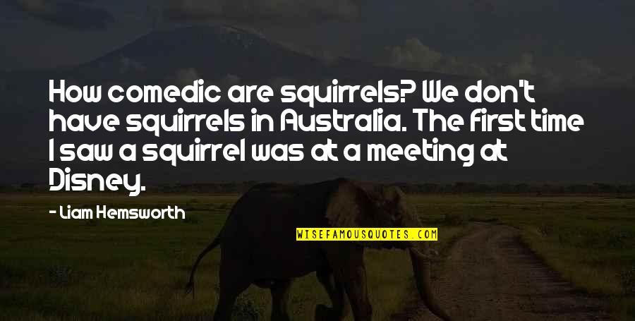 Diyez Sembol Quotes By Liam Hemsworth: How comedic are squirrels? We don't have squirrels Diyez Sembol Quotes By Liam Hemsworth: How comedic are squirrels? We don't have squirrels