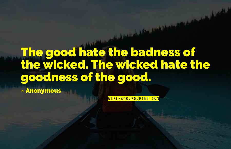 Dizzie Hamham Quotes By Anonymous: The good hate the badness of the wicked.