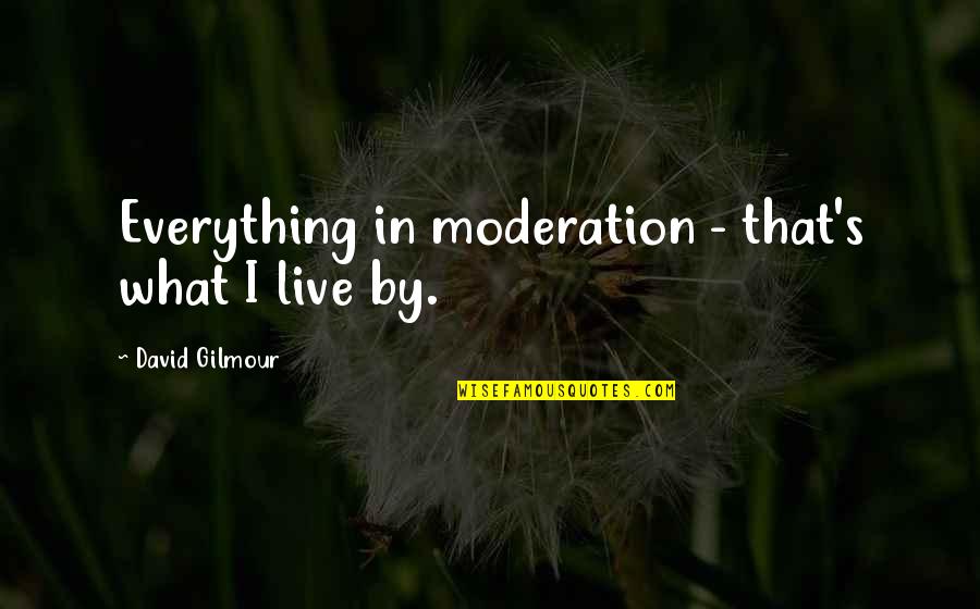Dj Flex Quotes By David Gilmour: Everything in moderation - that's what I live